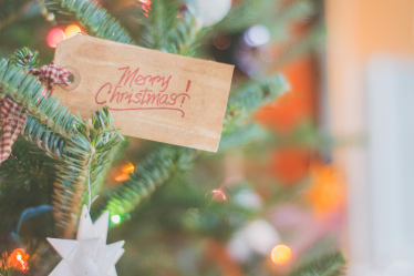 Label reading Merry Christmas sticking out of a Christmas tree